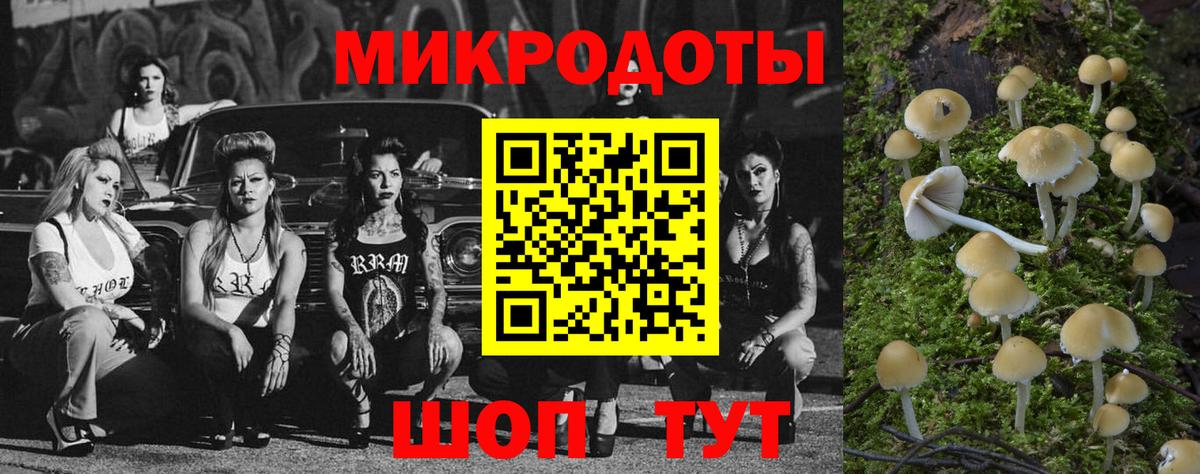 Киселёвск  Галлюциногенные грибы ЛСД  как найти наркотики  Галлюциногенные грибы GOLDEN TEACHER  Вход с VPN 