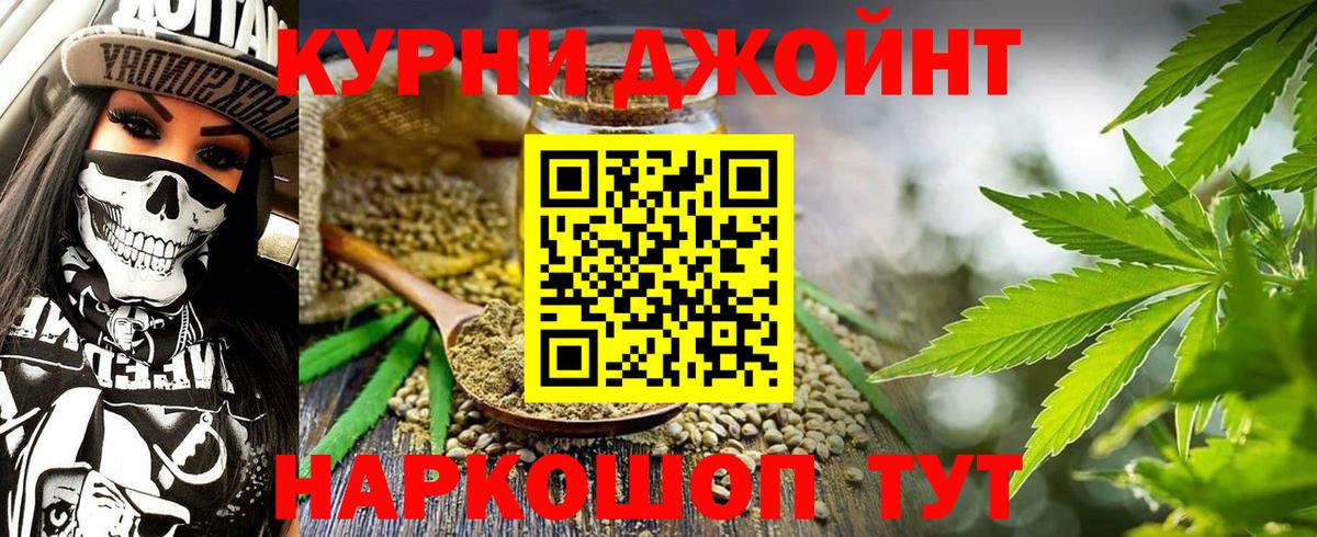Каннабис сатива Киселёвск
